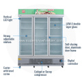 Commercial Fan Cooling Vertical Glass Door Display Freezer